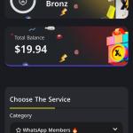 Social Media Services Website